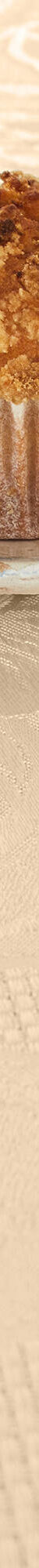 Nappe jacquard damassé (vanille) Nappe jacquard damassé (vanille)